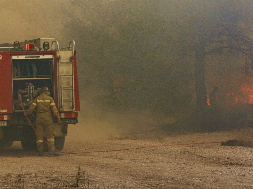 Καστοριά: Κτηνοτροφική μονάδα στην Μεσοποταμία έγινε «στάχτη» μετά από κεραυνό