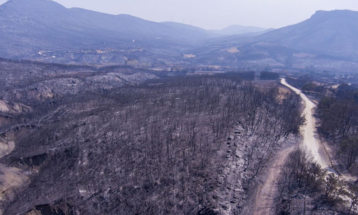 Στις καμένες εκτάσεις του Έβρου αύριο κυβερνητικό κλιμάκιο