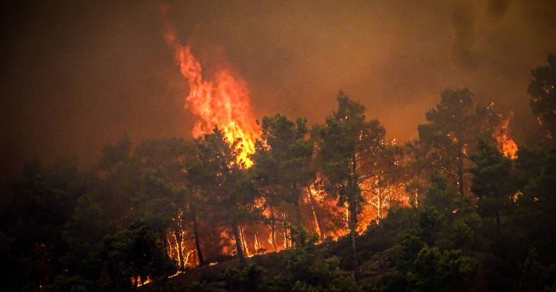 Μαίνεται για 11η μέρα η φωτιά στον Έβρο! – Θα είναι η «προπαγάνδα των αριθμών» που λέει η κυβέρνηση