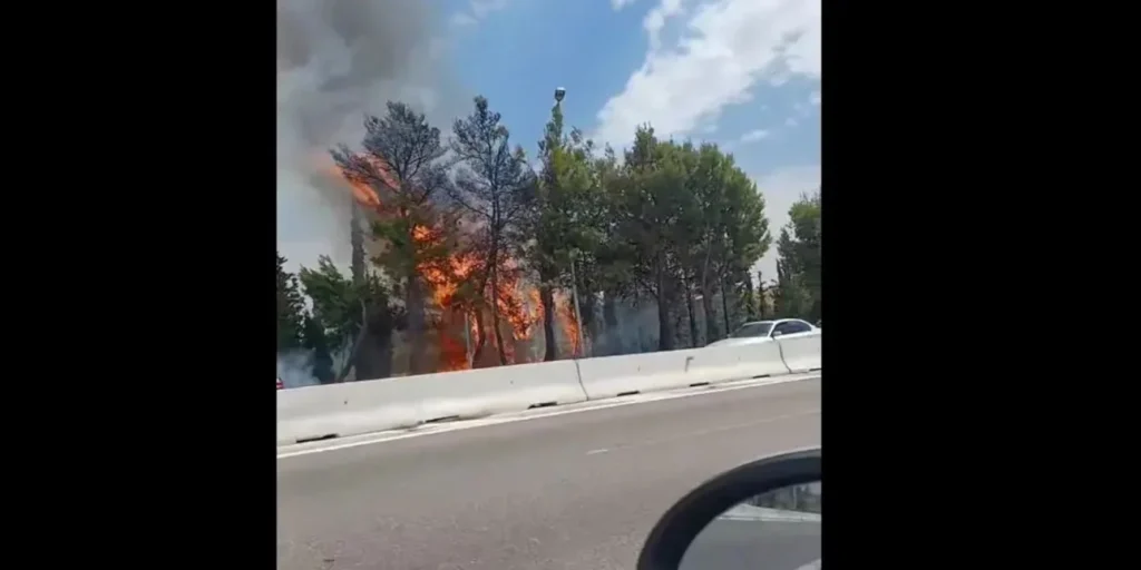 Φωτιά στην Ε.Ο. Θεσσαλονίκης-Μουδανιών – Συναγερμός στην Πυροσβεστική