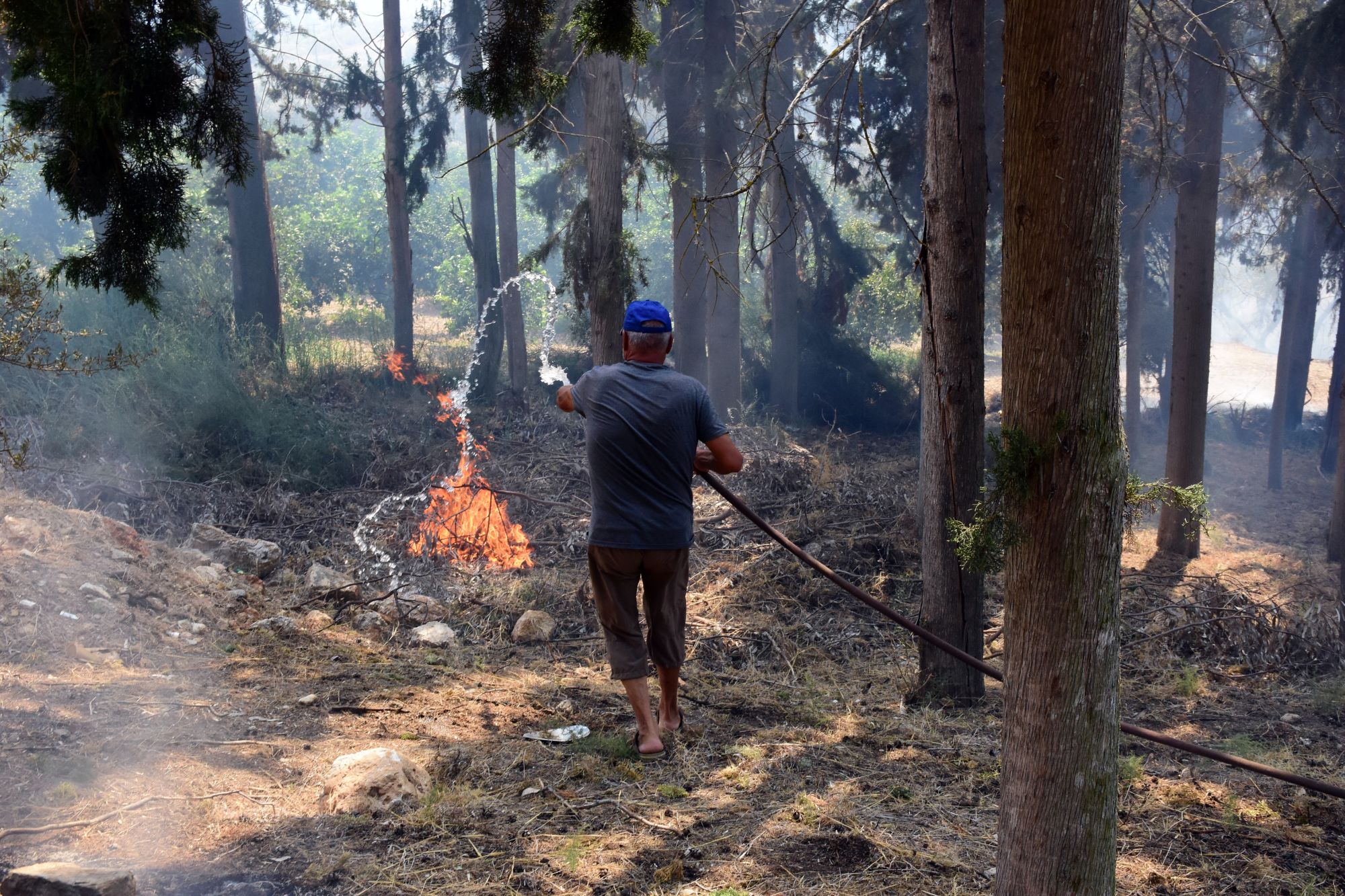 «Αδειάζει» την κυβέρνηση και η Κομισιόν: «Στον Έβρο η μεγαλύτερη φωτιά στην ιστορία της ΕΕ»! – Δείτε τους αριθμούς-σοκ