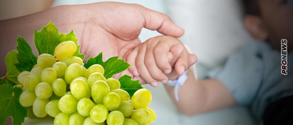 Απίστευτη τραγωδία στην Τήνο: 3χρονο παιδί πνίγηκε τρώγοντας σταφύλι