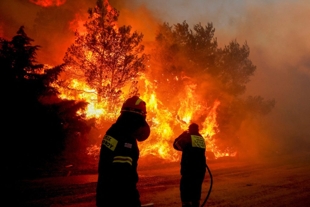 Φωτιές: Ηχηρό «καμπανάκι» χτυπά η WWF για τα προστατευόμενα είδη – Έχουν πληγεί 14 περιοχές Natura