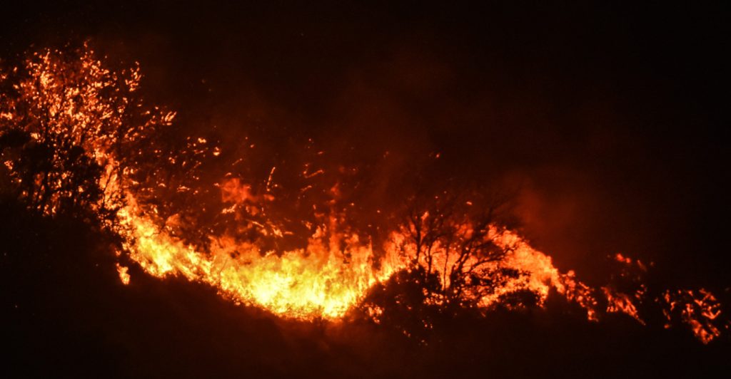 Έβρος: Αδιανόητες δικαιολογίες της Πυροσβεστικής για την καταστροφή – «Δεν φυσά και δεν βλέπουν τα αεροσκάφη την φωτιά»! (βίντεο)