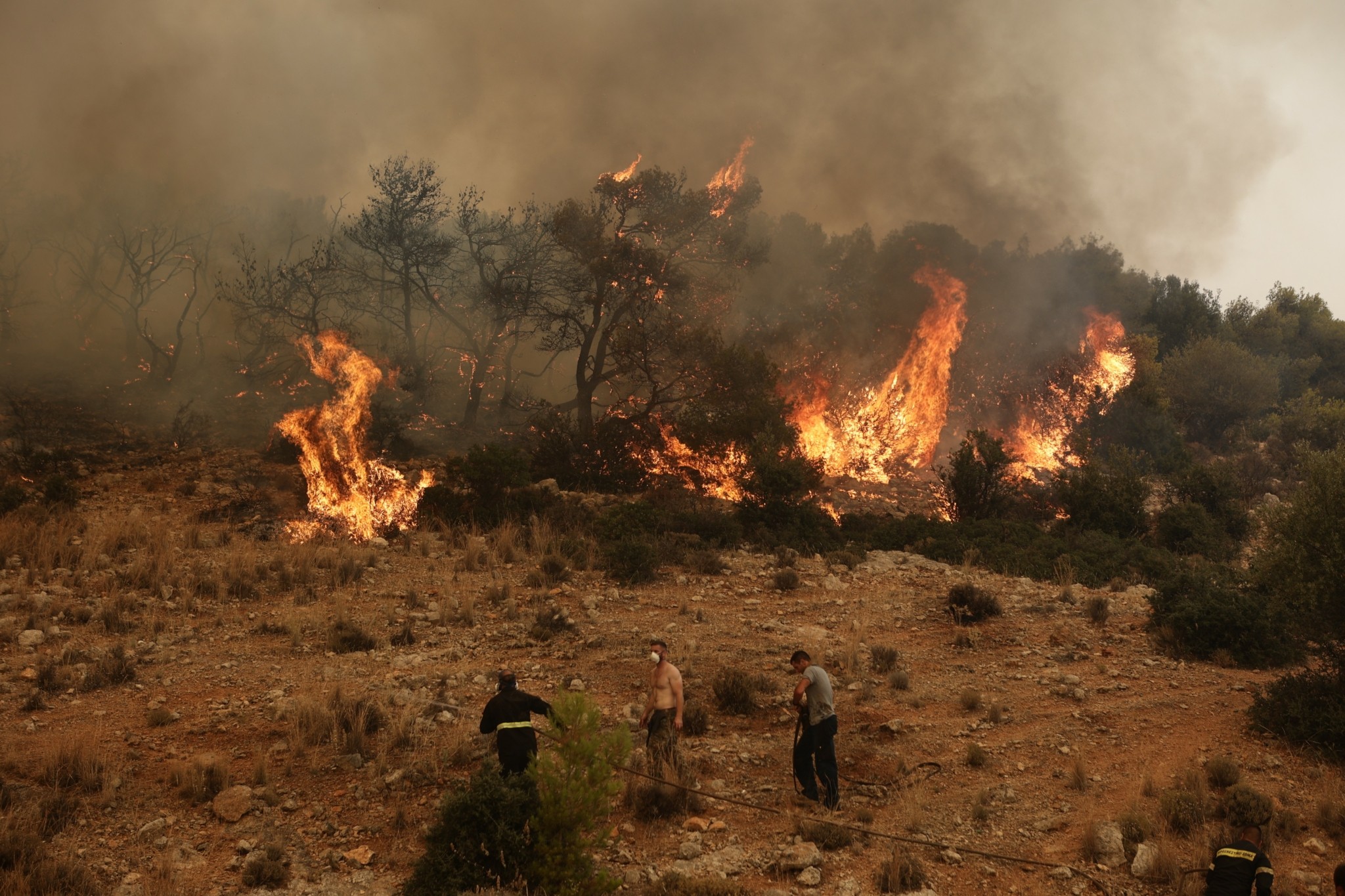 Φωτιά στην Καλαμάτα – Μήνυμα από το «112» για εκκένωση της περιοχής Ασπροπουλιά (φώτο)