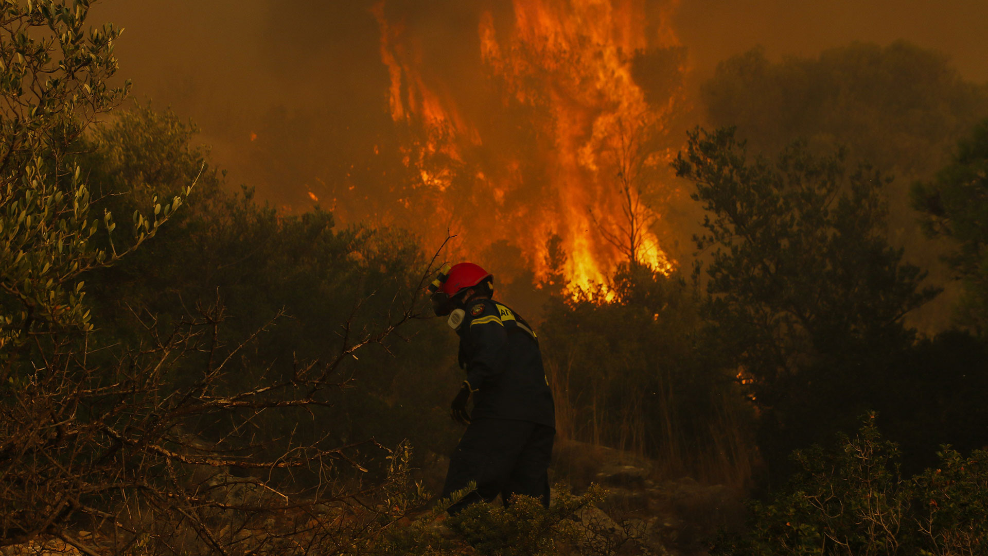 Στις φλόγες για 14η ημέρα ο Έβρος – Εφιαλτική νύχτα στο Σουφλί