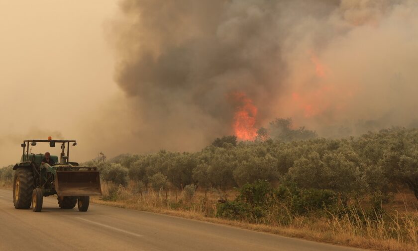 Έβρος: H φωτιά κατευθύνεται προς Κορνοφωλιά και Γιαννούλη