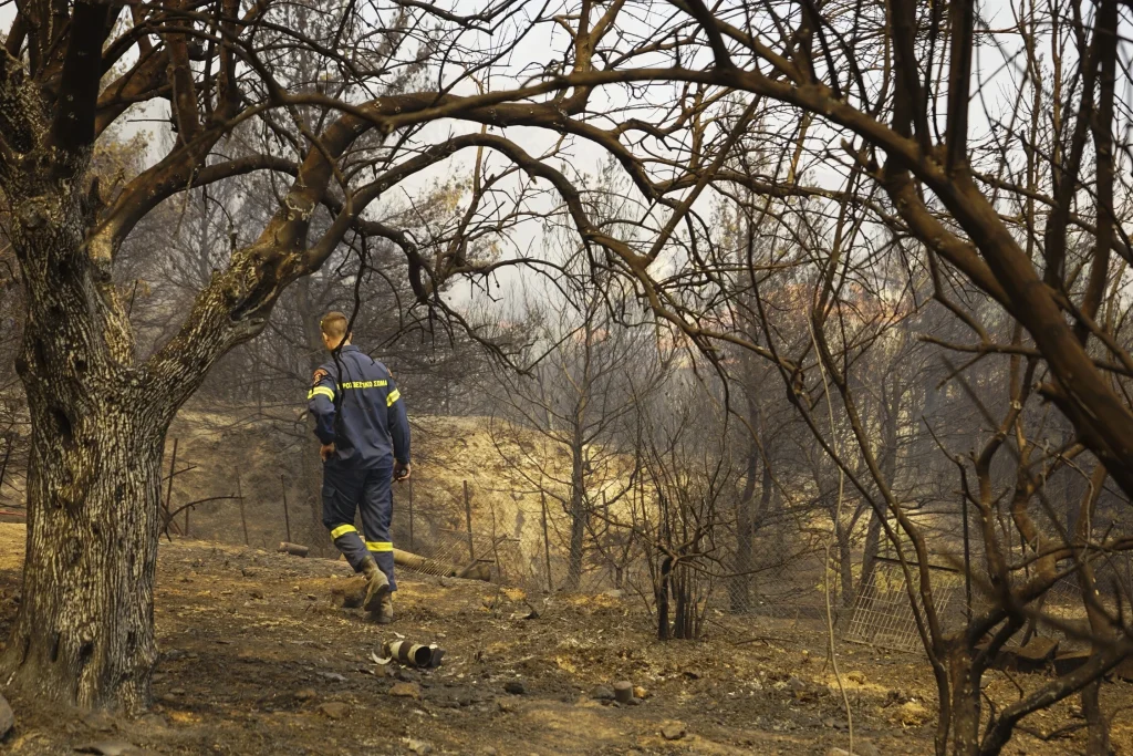 Φωτιές: «Δεν φτάνει πρόληψη – Πρέπει να δημιουργηθούν τοπία που θα είναι ανθεκτικά στις πυρκαγιές» λένε οι ειδικοί