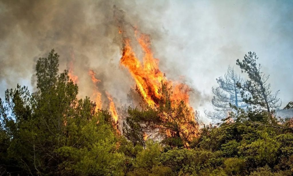 ΓΓΠΠ: Πολύ υψηλός ο κίνδυνος πυρκαγιάς για αύριο – Ποιες περιοχές βρίσκονται στο «κόκκινο»
