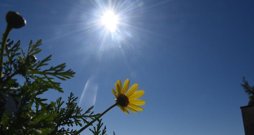 Καιρός: Μικρή άνοδος της θερμοκρασίας σήμερα – Σε ποιες περιοχές θα βρέχει