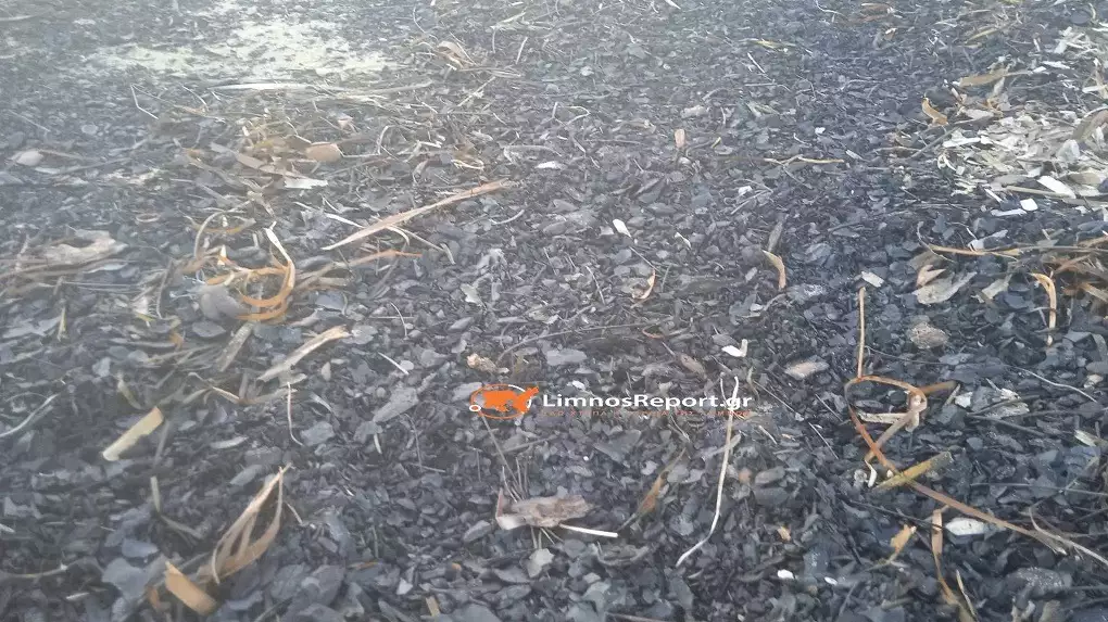 Έβρος: Αποκαΐδια της φωτιάς έφτασαν σε παραλίες της Λήμνου (φωτο)