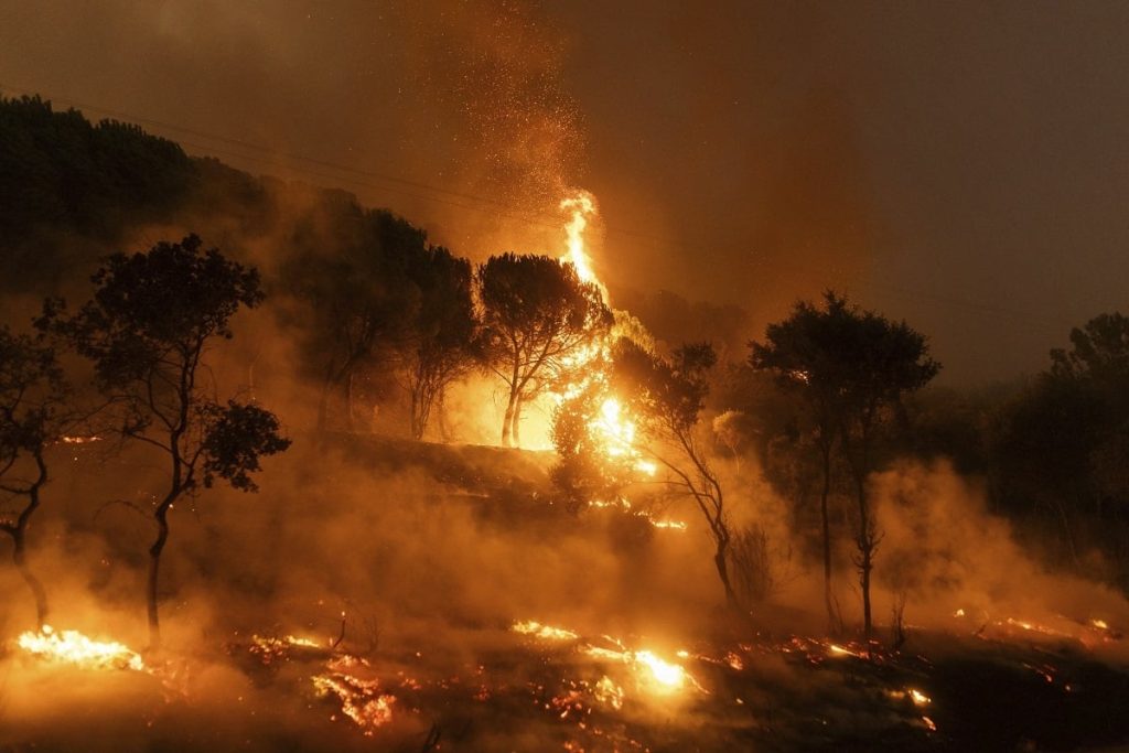 Έβρος: Ολοκληρωτική καταστροφή – Στα 935.000 στρέμματα οι καμένες εκτάσεις
