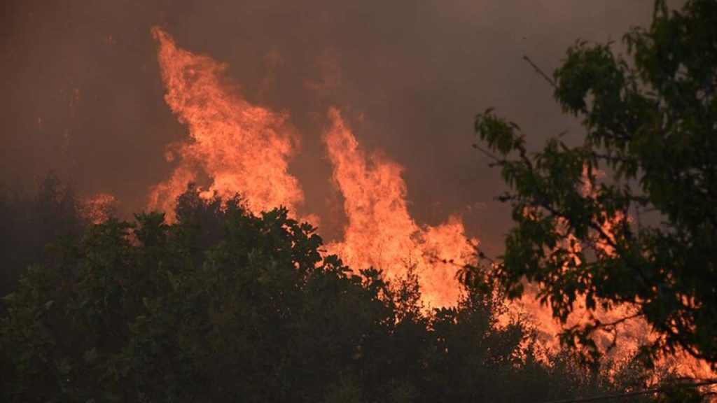 ΓΓΠΠ: Υψηλός ο κίνδυνος πυρκαγιάς για αύριο σε τρεις περιφέρειες της χώρας (χάρτης)