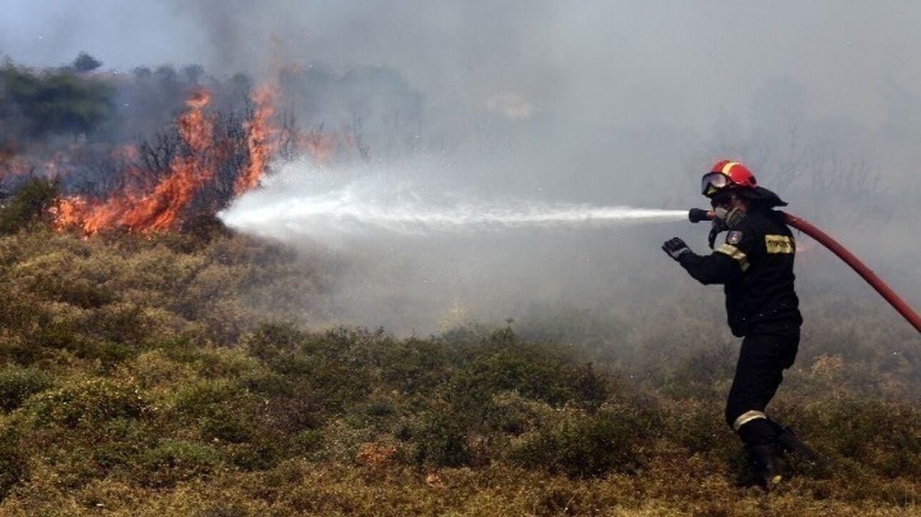 Τσιγγάνοι  επιτέθηκαν με πέτρες και κτύπησαν  πυροσβέστες την ώρα που επιχειρούσαν σε φωτιά στην Κερατέα!  (φωτό)