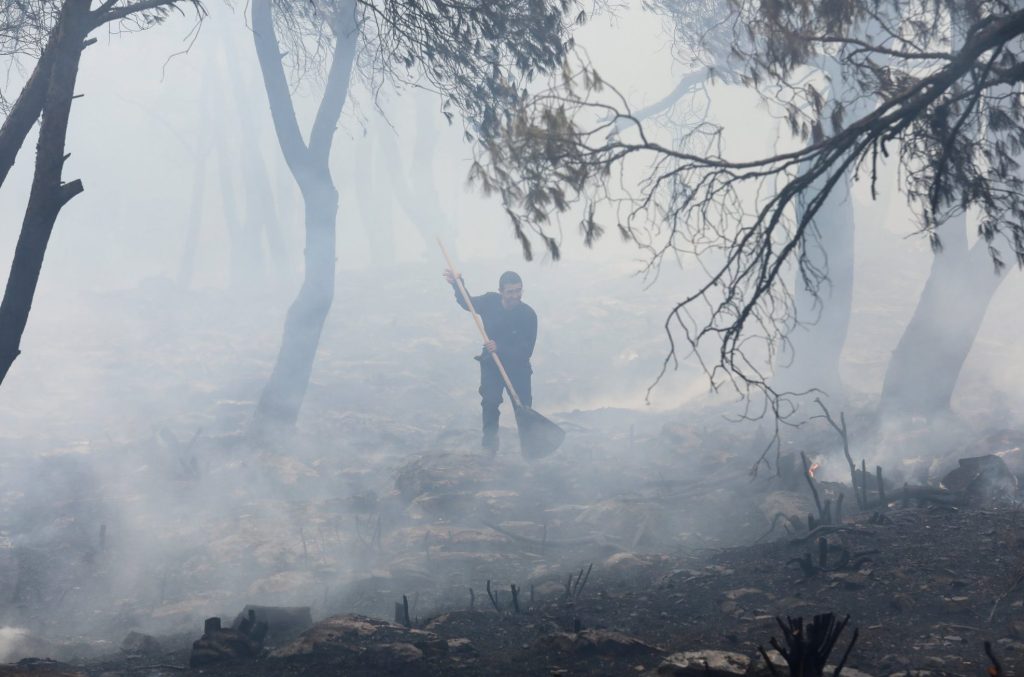 Δήμαρχος Διονύσου για φωτιά στη Σταμάτα: «Βρεθήκαμε από την πρώτη στιγμή στο σημείο και αποφύγαμε τα χειρότερα»