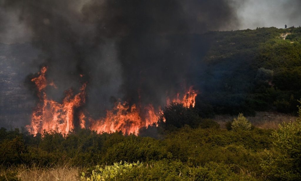 Φωτιά στο Μαρτίνο Φθιώτιδας: Ελικόπτερα και βροχή περιόρισαν το πύρινο μέτωπο