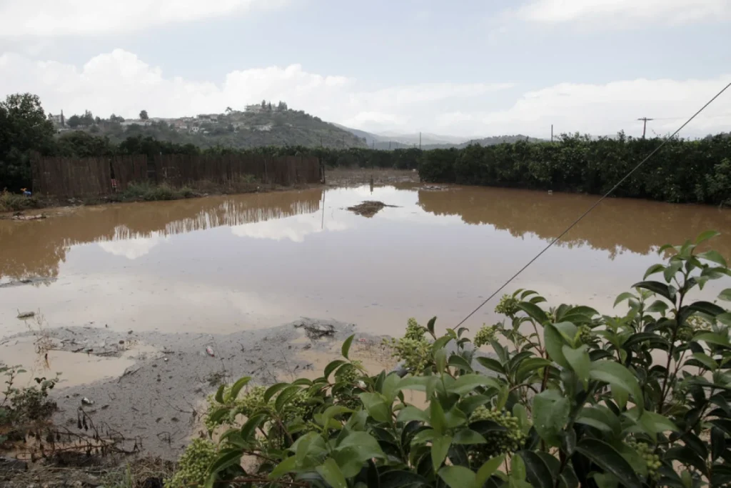 Α.Λινού: Προειδοποίηση για το δίκτυο ύδρευσης – «Τα νεκρά τρωκτικά είναι κίνδυνος για τη δημόσια υγεία»