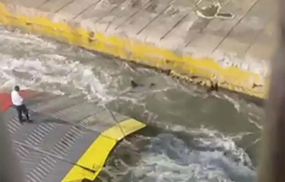 Blue Horizon: Αυτός είναι ο 36χρονος Αντώνης που δολοφονήθηκε από τα μέλη του πληρώματος (φωτο)