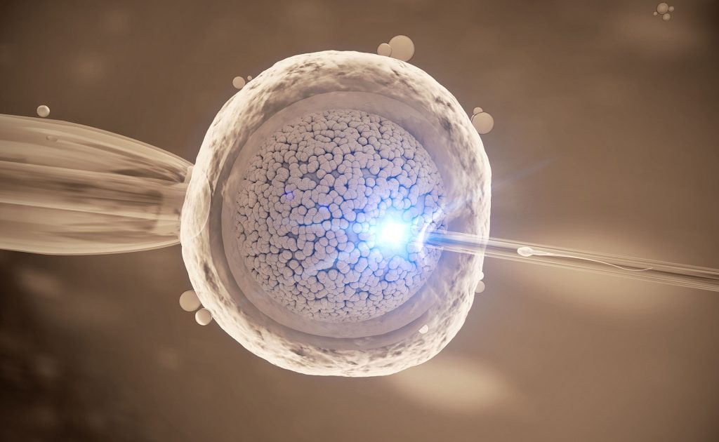 Επιστήμονες δημιούργησαν δομές παρόμοιες με το ανθρώπινο έμβρυο χωρίς να χρησιμοποιήσουν σπέρμα και ωάριο