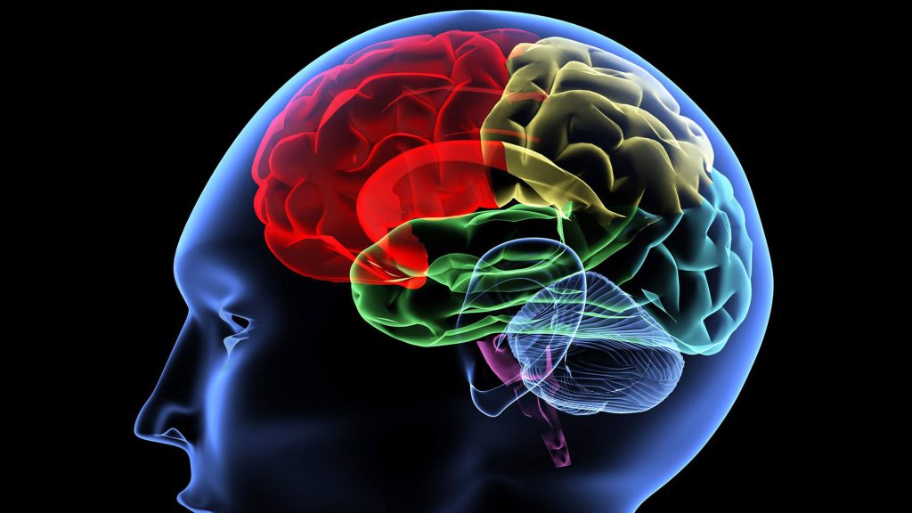 Πέντε συνήθειες που ενισχύουν τη λειτουργία του εγκεφάλου