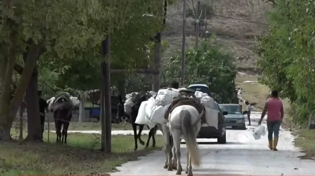 Η κακοκαιρία «σαρώνει» την Καρδίτσα: Μεταφέρουν ακόμη και με άλογα τρόφιμα και είδη πρώτης ανάγκης