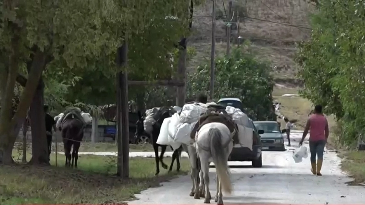 Η κακοκαιρία «σαρώνει» την Καρδίτσα: Μεταφέρουν ακόμη και με άλογα τρόφιμα και είδη πρώτης ανάγκης
