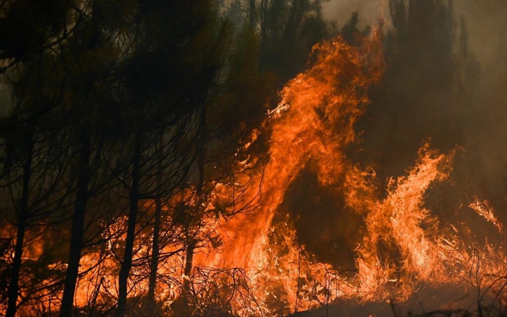 Σουφλί: Οριοθετήθηκε το μέτωπο φωτιάς στα Λάβαρα