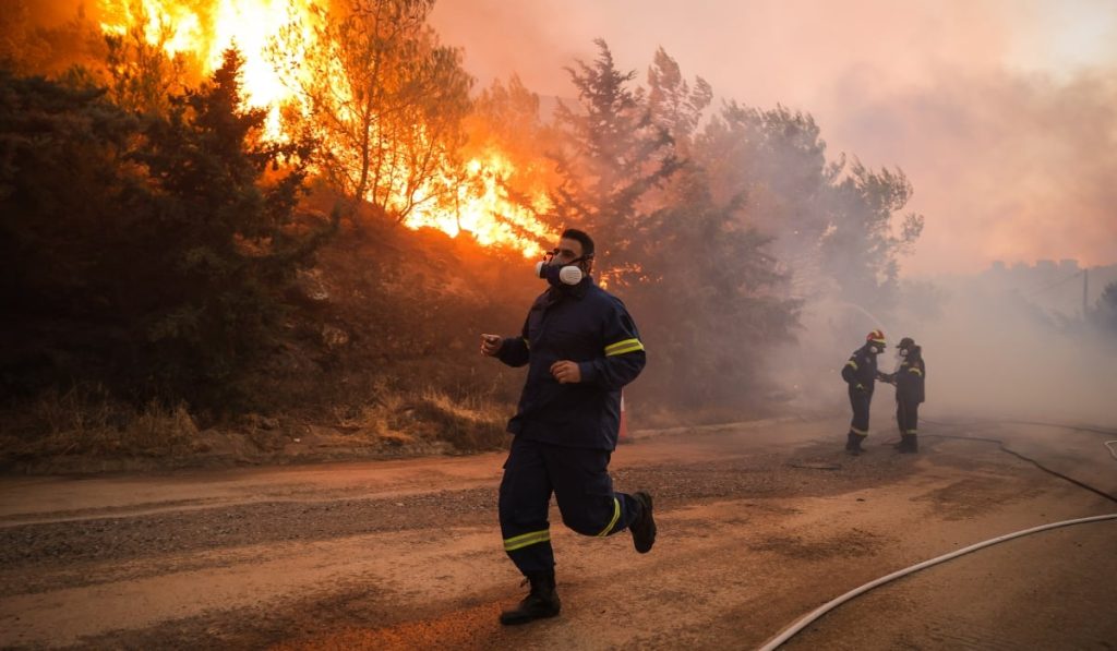 Πυρκαγιά στον Έβρο: Ανεπανόρθωτη καταστροφή – Κάηκε σχεδόν το 60% του δάσους της Δαδιάς