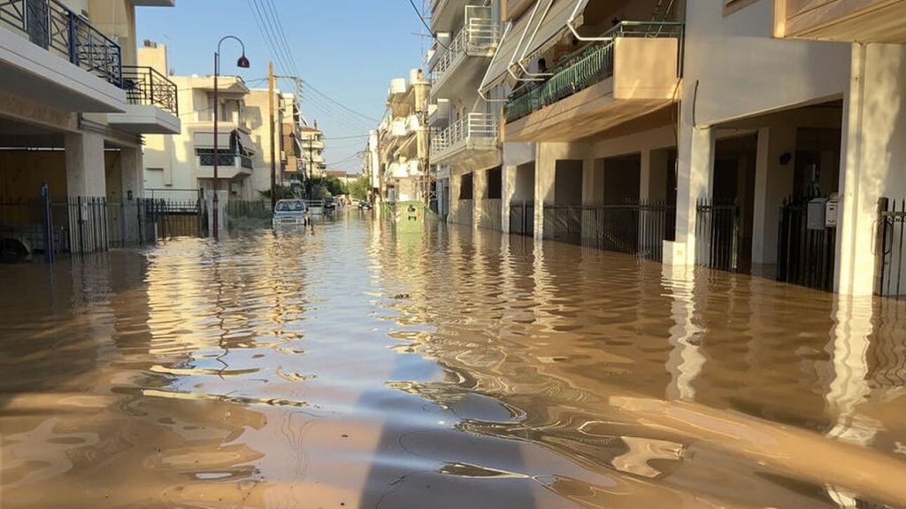 Α.Λινού για πλημμύρες στη Θεσσαλία: «Το βακτήριο μπορεί να εισέλθει από την παραμικρή αμυχή – Προκαλεί λεπτοσπείρωση»
