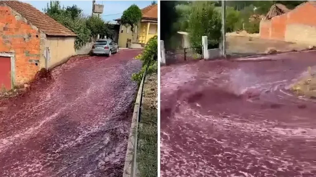 Κοκκίνησαν όλα: Πόλη στην Πορτογαλία πλημμύρισε από κρασί – Τι συνέβη (βίντεο)