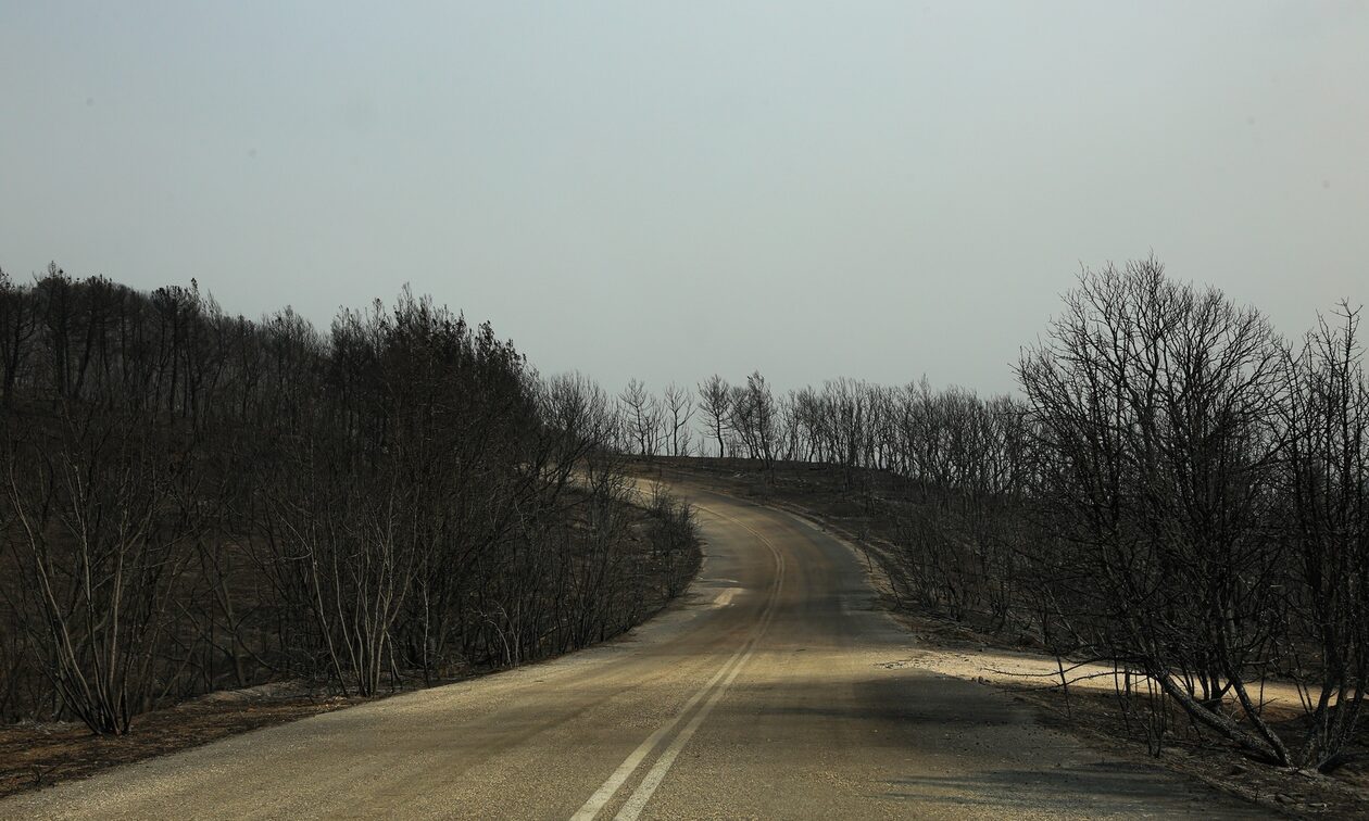 Παράταση στην υποβολή φορολογικών δηλώσεων για τους πυρόπληκτους του Έβρου