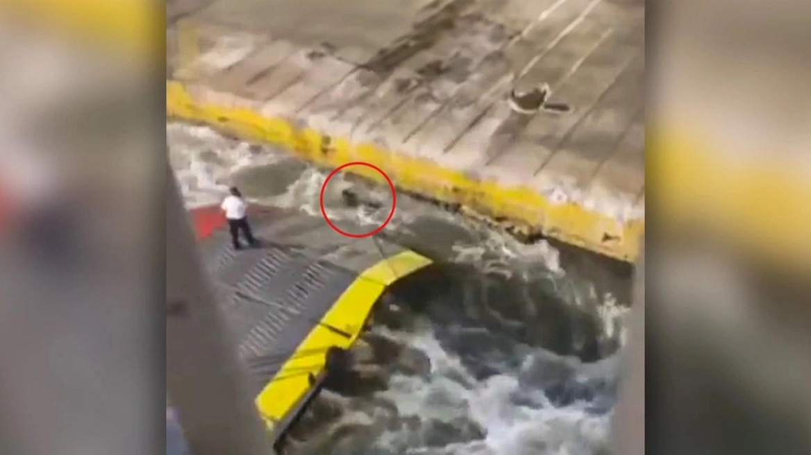 Δολοφονία στο Blue Horizon: Με ποιον συνομίλησε ο καπετάνιος μετά τον θάνατο του Α.Καρυώτη