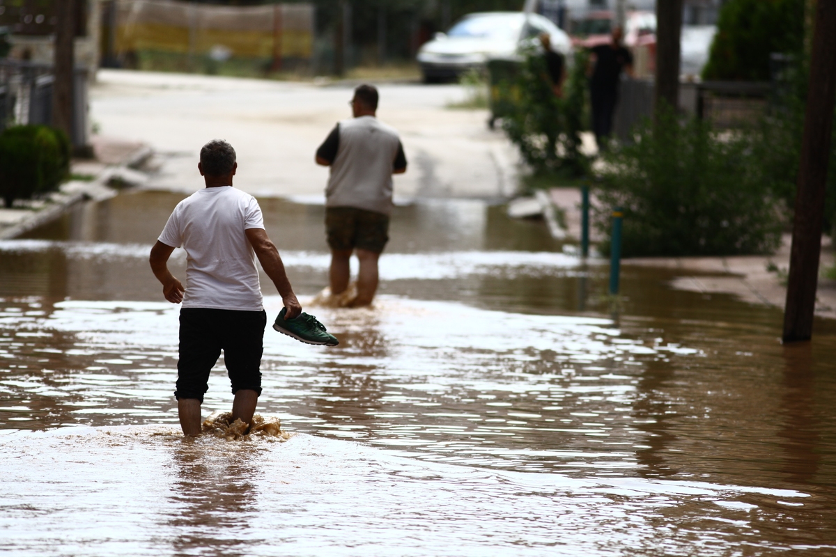Δ.Σαρηγιάννης: «Η διατροφική αλυσίδα έχει “σπάσει” στη Θεσσαλία – Ο μεγαλύτερος κίνδυνος είναι το νερό»