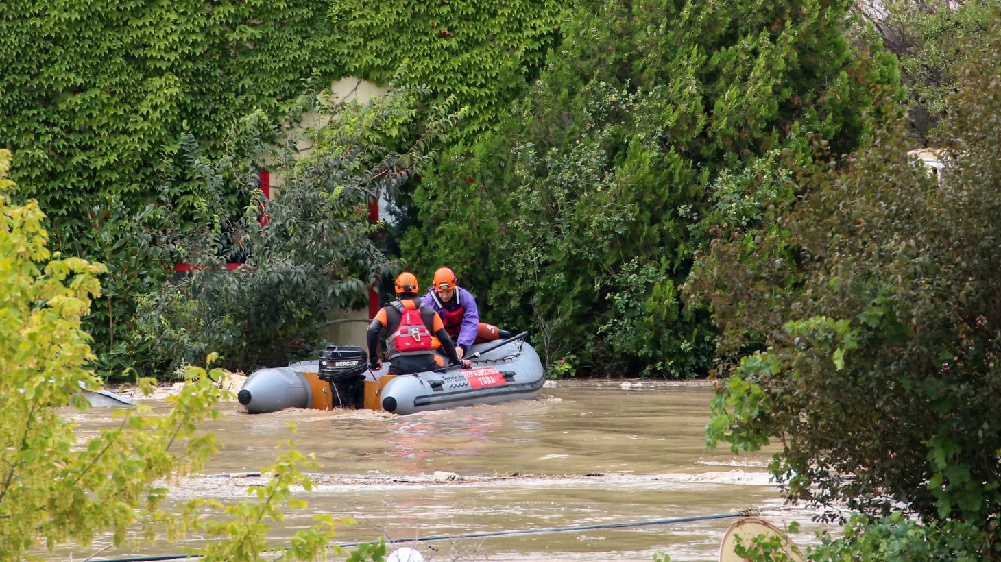 Θεσσαλία: Υγειονομική «βόμβα» τα λιμνάζοντα νερά του κάμπου και τα νεκρά ζώα – Τι λένε οι ειδικοί