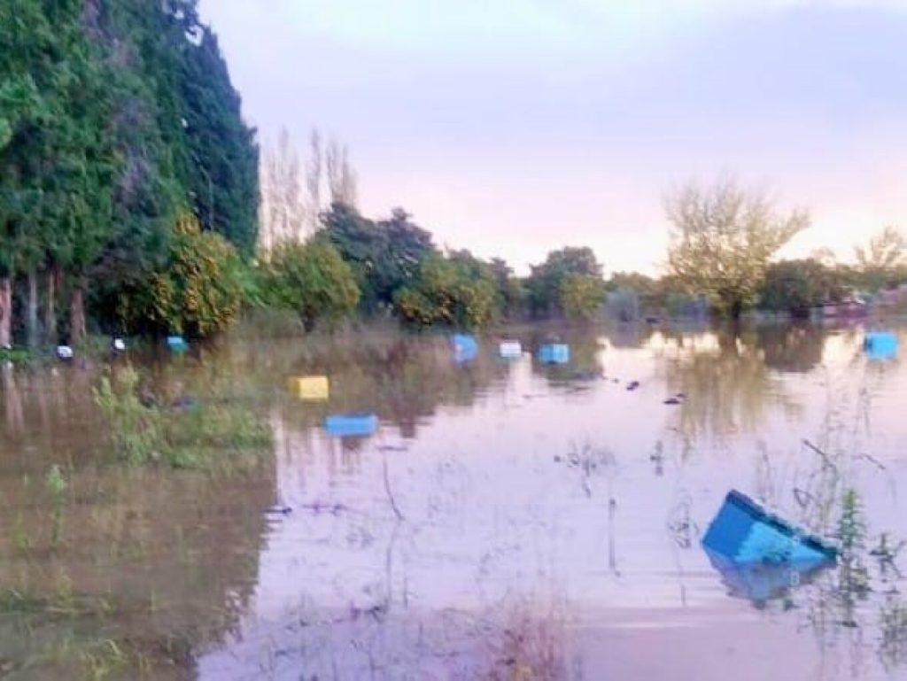 Τεράστιες ζημιές στη μελισσοκομία της Θεσσαλίας: Τουλάχιστον 45.000 μελίσσια έχουν καταστραφεί