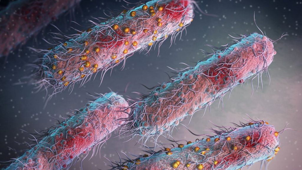 Σαλμονέλα: Συμπτώματα, πιθανές επιπλοκές και τρόπος μετάδοσης