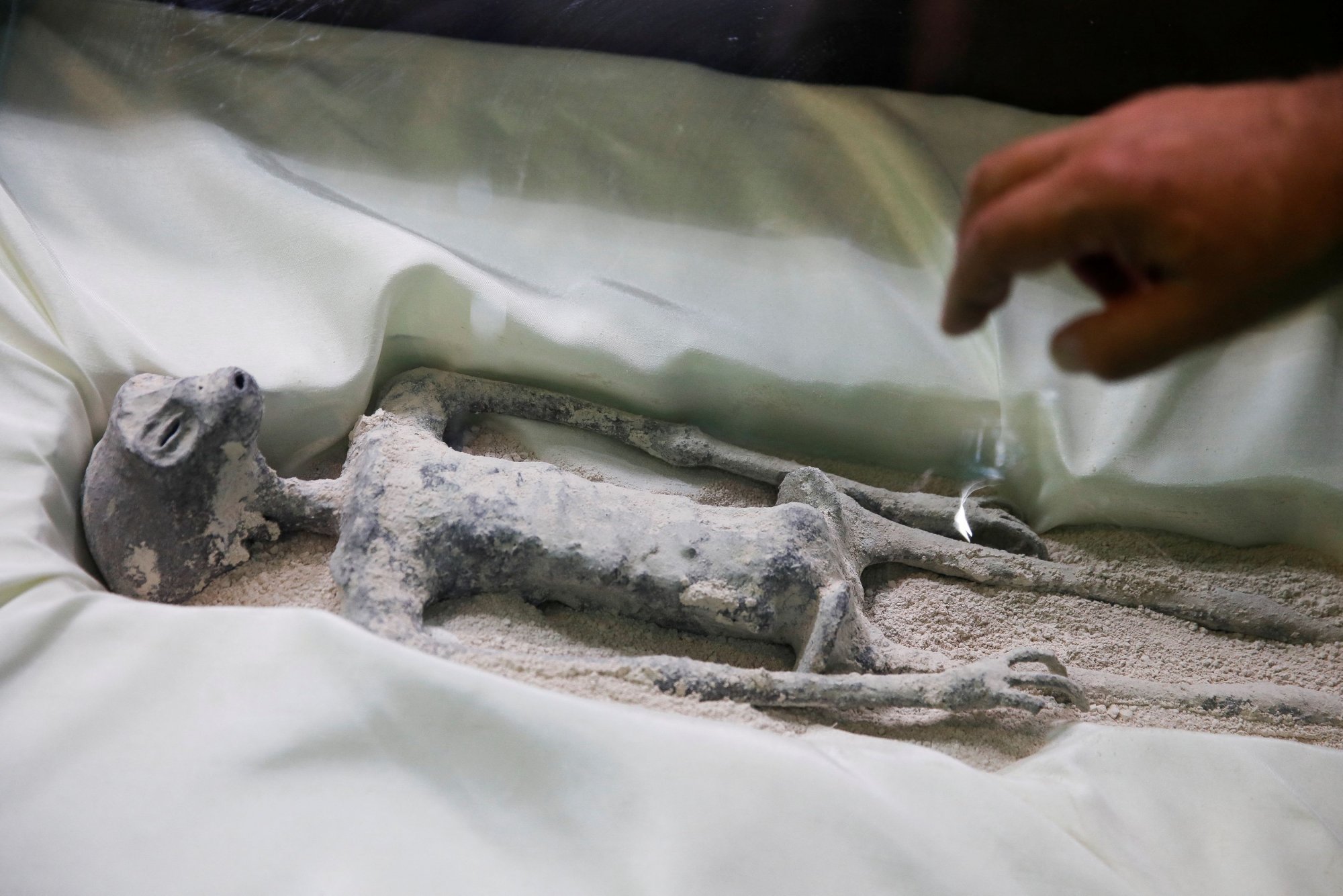 Μεξικό: Τι έδειξαν οι έρευνες στους σκελετούς των «εξωγήινων» – Επιστήμονες ισχυρίζονται πως δεν πρόκειται για «κατασκευές»