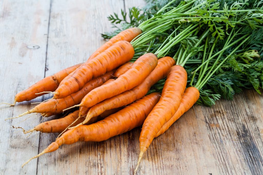 Αξίζουν μια θέση στο πιάτο σας: Αυτές είναι οι πολύτιμες βιταμίνες που έχουν τα καρότα