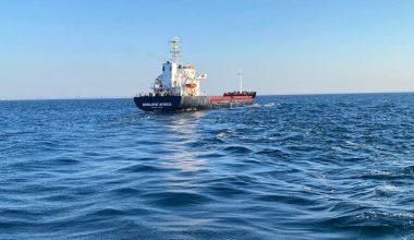 Έφτασε στην Κωνσταντινούπολη το δεύτερο φορτηγό πλοίο που μεταφέρει ουκρανικό σιτάρι