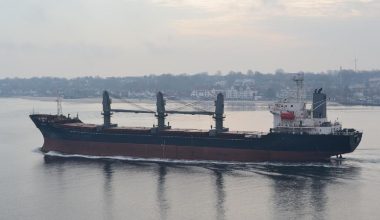 Έφτασε στην Κωνσταντινούπολη το δεύτερο φορτηγό πλοίο που μεταφέρει ουκρανικό σιτάρι