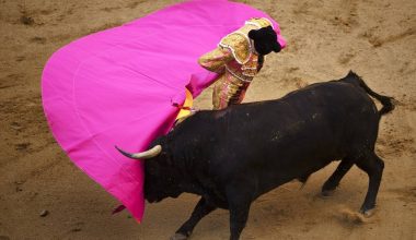 Ισπανία: Τραγικός θάνατος για άνδρα σε φεστιβάλ ταυροδρομίας – Τον κάρφωσε ταύρος με τα κέρατά του