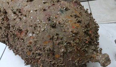 Κόρινθος: Βρέθηκε αρχαίος αμφορέας στη θαλάσσια περιοχή του Διμηνιού