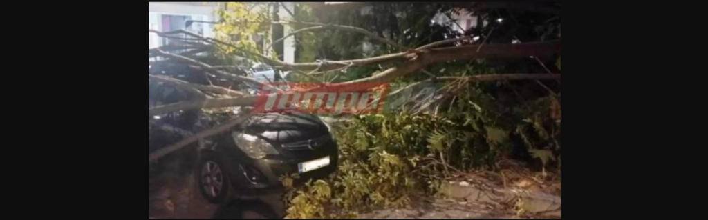 Πάτρα: Δέντρο καταπλάκωσε γυναίκα που περίμενε το παιδί της από το φροντιστήριο (βίντεο)