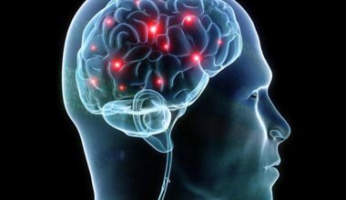 Νέα έρευνα αποκαλύπτει: Πόσο «ηθικός» είναι ο εγκέφαλός μας;
