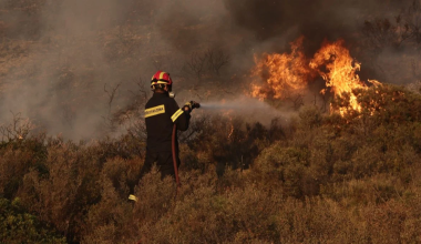 Φωτιά σε χορτολιβαδική έκταση στους Κανακάδες Κέρκυρας