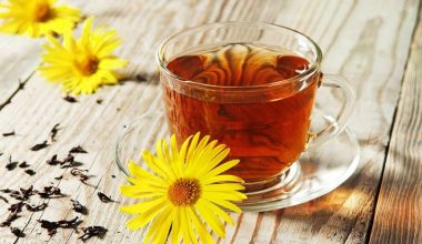 Νέα μελέτη: Σωτήριο ένα φλιτζάνι τσάι την ημέρα – Προστατεύει από τον διαβήτη