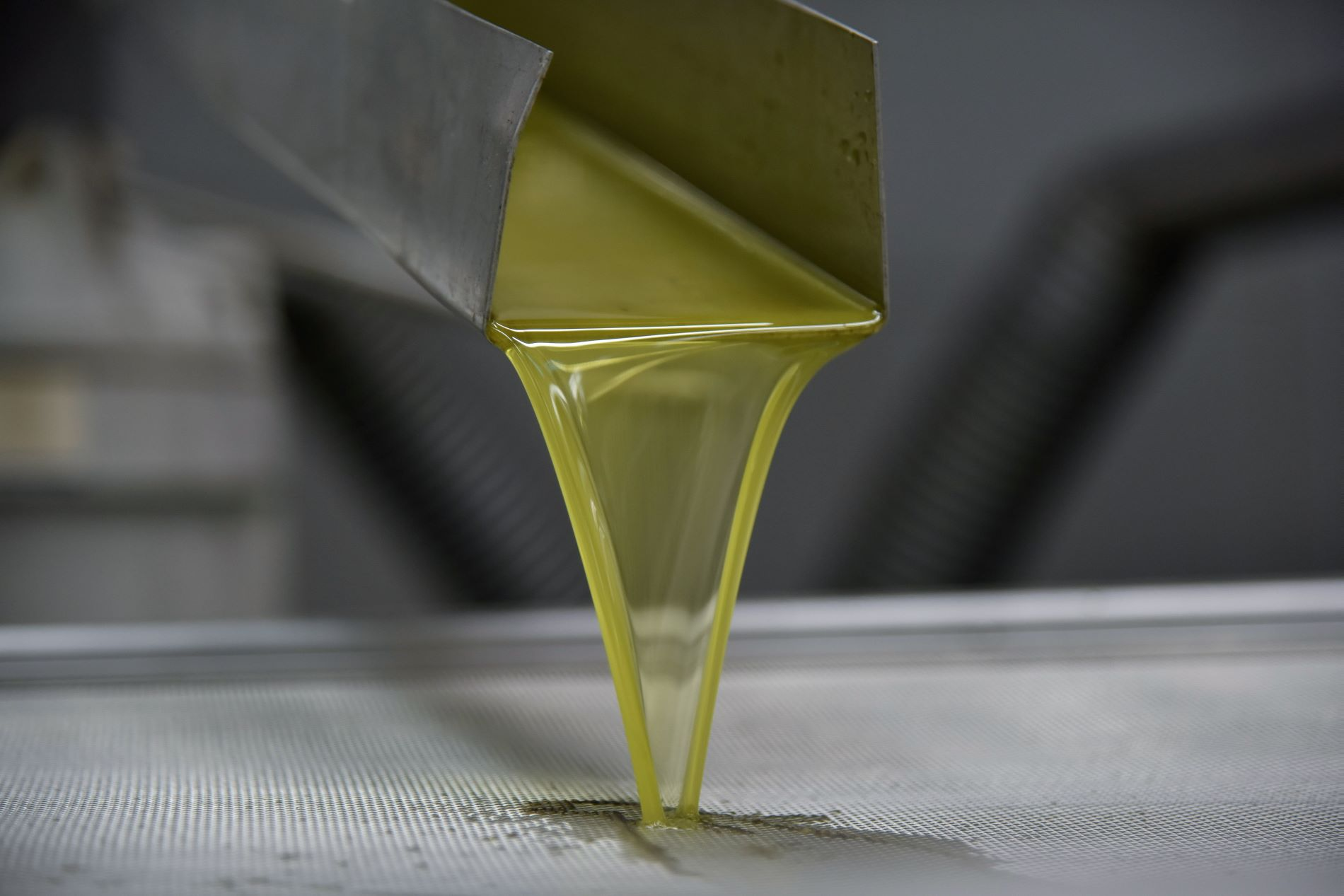 Έκλεψαν 37 τόνους ελαιόλαδου από Συνεταιρισμό στη Χαλκιδική – Η ζημιά ξεπερνά τις 370.000 ευρώ