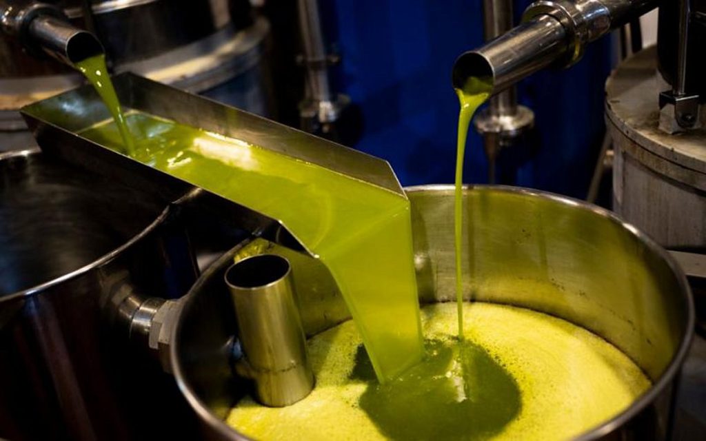 Κλοπή ελαιόλαδου στη Χαλκιδική – Δικηγόρος ελαιοπαραγωγών: «Έβγαζαν λίγο λίγο το λάδι και το πουλούσαν στην αγορά»