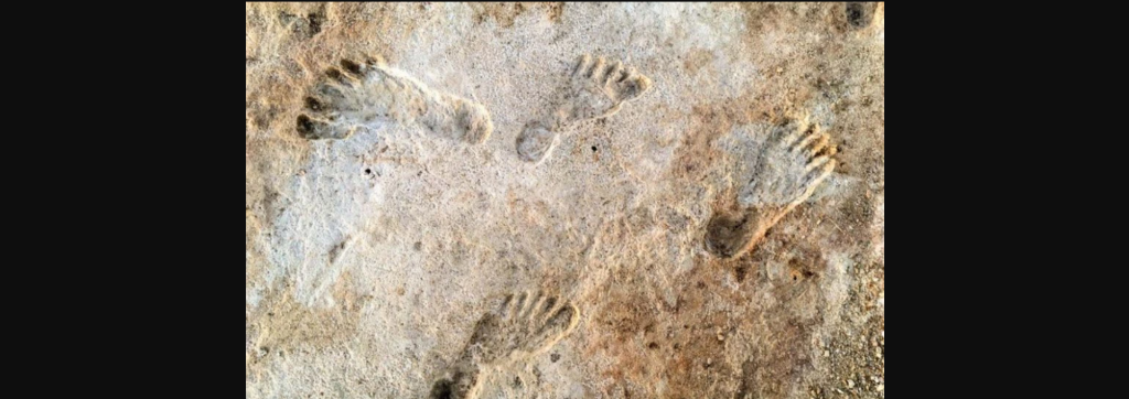 Νέα έρευνα: Οι άνθρωποι έφτασαν στην Αμερική χιλιάδες χρόνια νωρίτερα από όσο πιστεύαμε