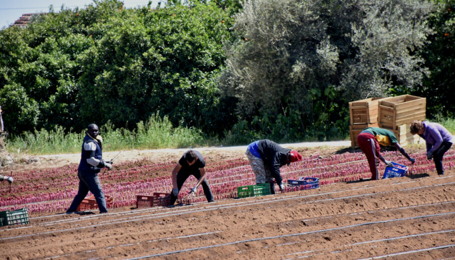 Εργάτες γης: Οι Πακιστανοί και οι Αλβανοί φεύγουν, οι Βιετναμέζοι έρχονται στην Ελλάδα!